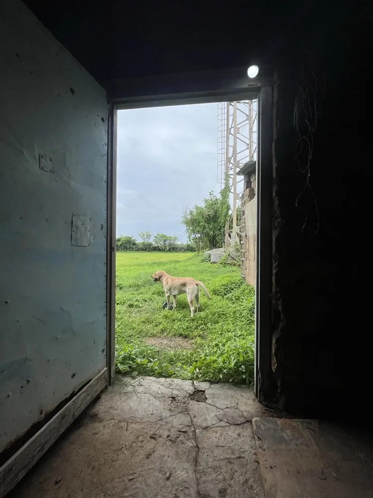 A photo taken by Hiren